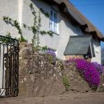 Fernside Cottage Tiverton 