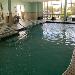 Hotels near Crosby Fair and Rodeo - SpringHill Suites by Marriott Houston Baytown