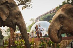 Anantara Golden Triangle Elephant Camp & Resort - SHA Certified, Chiang Saen