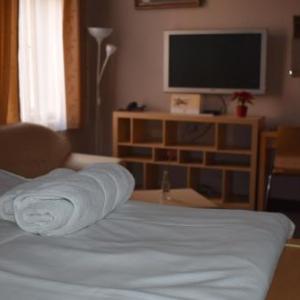 Enteria arena Pardubice Hotels - Hotel Zlatá Štika