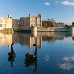 Hotels near Leeds Castle - Stable Courtyard Bedrooms At Leeds Castle