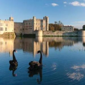 Hotels near Leeds Castle Maidstone - Stable Courtyard Bedrooms At Leeds Castle