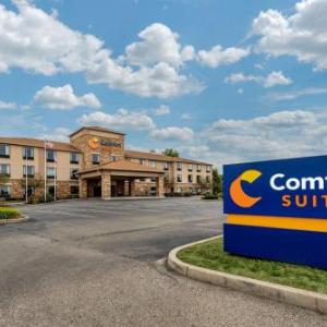 Hotels near Oddbody's Dayton - Comfort Suites Dayton-Wright Patterson