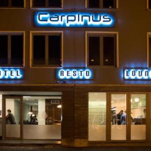 Hotel Carpinus