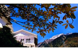 Summit Alpine Resort, Lachung