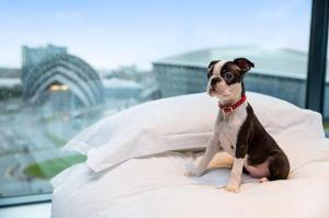 Radisson RED Hotel, Glasgow, Glasgow