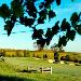 Hotels near Bimbadgen Pokolbin - Chateau Elan At The Vintage