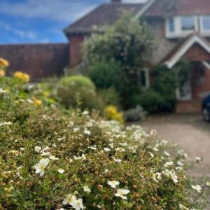 Stonehenge Hostel - YHA Affliated