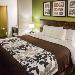 Hotels near Topeka Civic Theatre - Sleep Inn & Suites Topeka West I-70 Wanamaker
