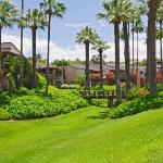 Wailea Elua #0302 by Alii Resorts Hawaii