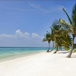 Beach and Golf apartment Punta Cana Beach Resort