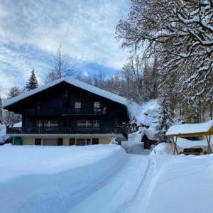 Apartment Chalet l'Aube