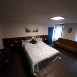 Lux apartments - Pasja Grofica Idrija