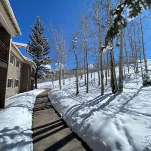 Timberline Condominiums Studio Unit 115