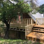 7 Canyons Ranch tree House medina