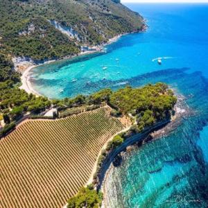 LA FALAISE PARADIS Vue mer 180°