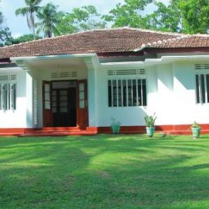 Red Araliya Villa Weligama