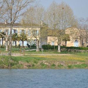 Les Palmiers du Port - (Le Port de Barsac)