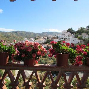 Apartamento Vista Paraíso El Borge