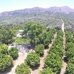 Farm House in Bio Οrange Plantation Crete Island