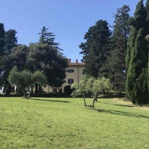 Montegemoli Villa Sleeps 13 WiFi