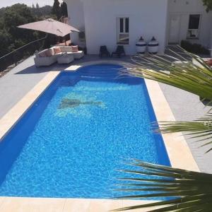 New Luxery Villa With Big Pool