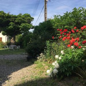 Le Catalpa  centre ville jardin & parking!