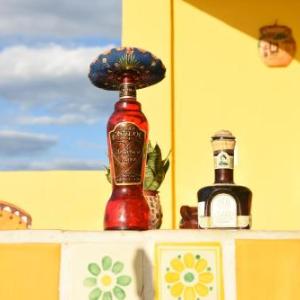 Cancun Guest House 5