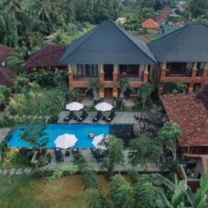 Bubu Suite by Prasi