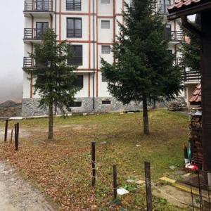 Apartmani Bergen