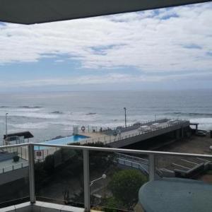 Seagull 412