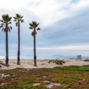 Pet-Friendly Port Hueneme Home about 1 Mile to Beach!