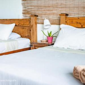 Lost in San Jose Hostel & Suites