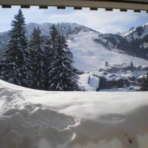 VALMOREL Appart 2 pièces 5 pers skis aux pieds Appartement dans la résidence Le ChevalBlanc hameau de Crève Coeur Deux pièces confortable bien équipé calme belle vue expo sud ouest Il est situé au 5em étage et en rez de jardin Casier à skis proche d