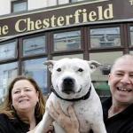 The Chesterfield Pet Friendly Hotel