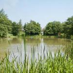 The Chestnuts Holiday Cottages 