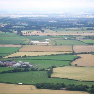 Blackthorn Gate