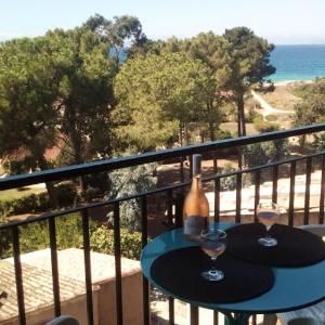 Apartment with one bedroom in Calcatoggio with wonderful sea view and furnished balcony 300 m from the beach