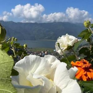 Into The Wild Pokhara