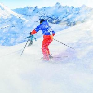Studio montagnard chaleureux animaux admis parking proche Grand-Bornand - FR-1-467-35