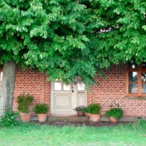 Apfelhof Fehmarn