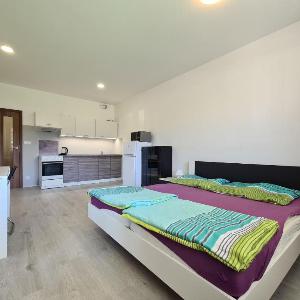 Modern Brno Apartment near City Centre