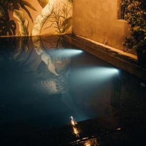 Novella Concept Hotel & Cafe