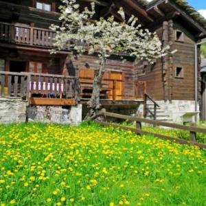 Locazione Turistica Martina - MCG500