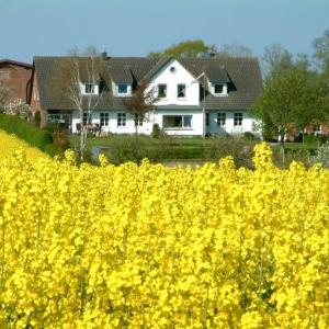 Hansenhof
