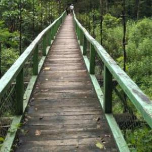 Vamoose Bhutia Homestay