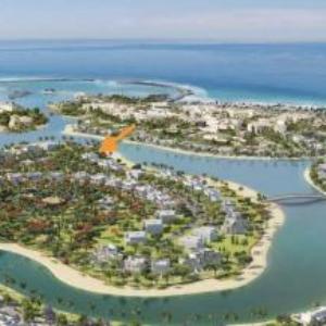 1-Bedroom on Forest Island & Oceanside View