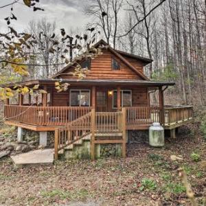 Hawks Nest Cabin with Views Near Peaks of Otter