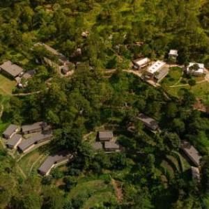 Amaya Kasauli
