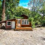 Cozy cottage among trees - close to PDX